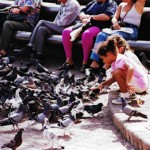 Girl grabbing pigeon Girl grabbing pigeon