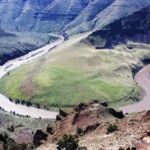 White Elephant Ranch