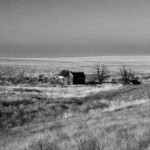 White Elephant Ranch