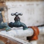 White Elephant Ranch