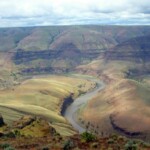 White Elephant Ranch