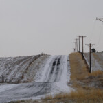 White Elephant Ranch